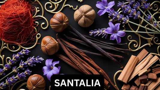 Santalia (Inspired by Georgio Armani Sandalwood)