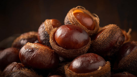 Roasted Chestnut Spice Musk Oil (12ml)